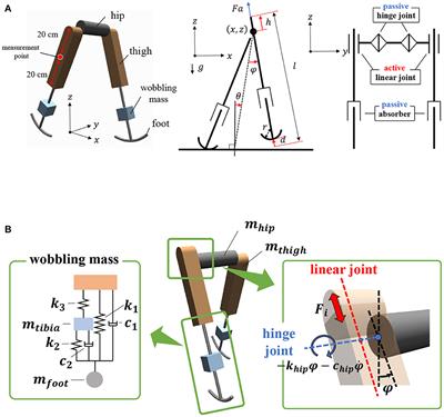 Frontiers Multimodal Bipedal Locomotion Generation With Passive